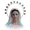 My Holy Rosary (with voice reading)