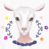 MYDECO (マイデコ) - おとぎ話の写真たち -