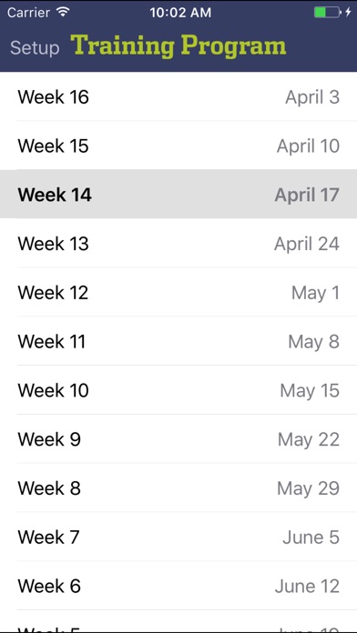 iPhone Screenshot 2