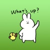 Daily life of a giant rabbit