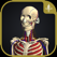 teamLabBody-3D Motion Human Anatomy-