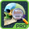 Anatomie Wortsuche Pro