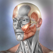 Muscle & Bone Anatomy 3D