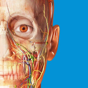 Human Anatomy Atlas 2017 - Complete 3D Human Body IPA 