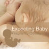 Expecting Baby - Pregnancy Companion expecting mothers pregnancy 