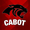 Mascot Media, LLC - Cabot Panthers Athletics artwork
