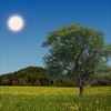 Nature Live Weather