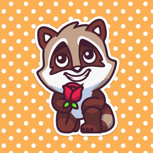 Little Cute Raccoon Stickers Pack for iMessage per Youness Dallaly
