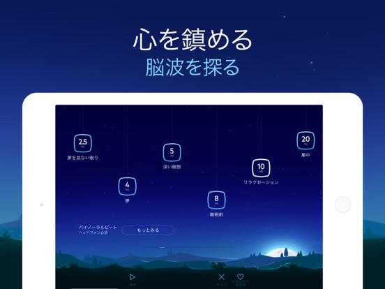 iPad スクリーンショット 4
