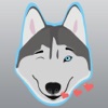 Husky Animated Adesivi, emoji, ed emoticon
