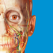 Atlas der menschlichen Anatomie Edition 2017 - Visible Body