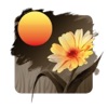 Better Life App