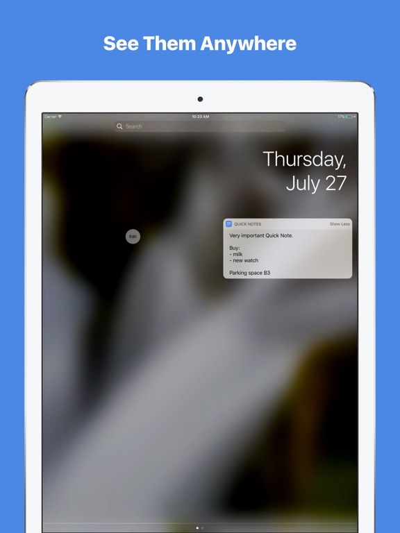 iPad Screenshot 2