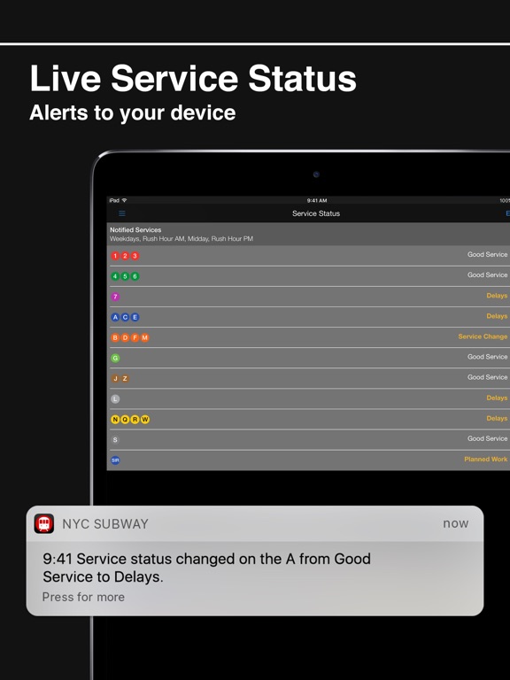 iPad Screenshot 2