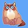 Жирный Кот STiK Sticker Pack