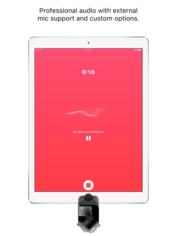 iPad Screenshot 4
