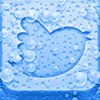no app image
