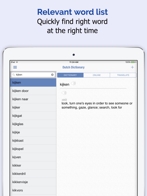 iPad Screenshot 2