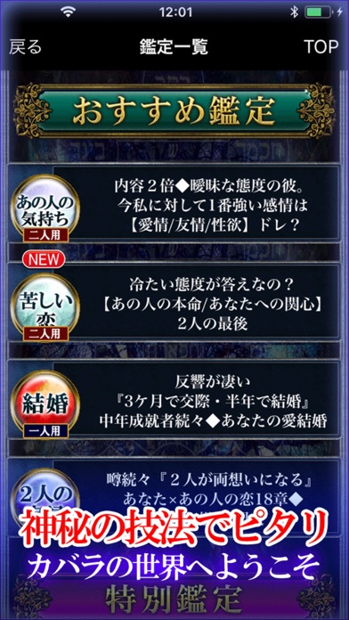 神秘の運命解析 テムラー数秘占いのスクリーンショット2