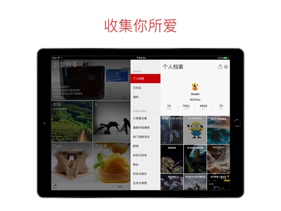 iPad 屏幕截图 4