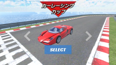 カーレーシング　カップ 3D screenshot1