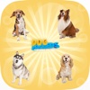 World Popular Dog Breeds Name Preschool Learning dog games for kids 