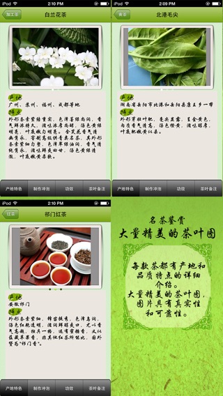 iPhone Screenshot 2