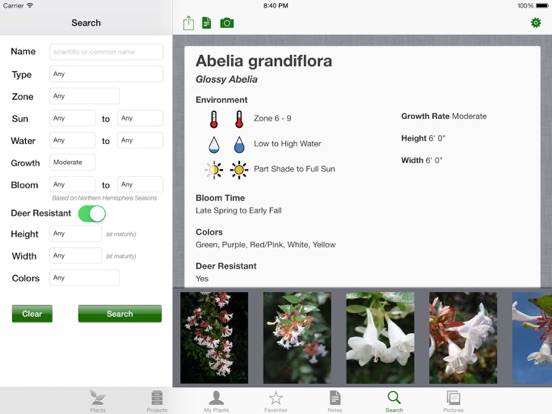 iPad Screenshot 4