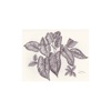 Стикеры Laos Series от Ballpointpen Illustrator