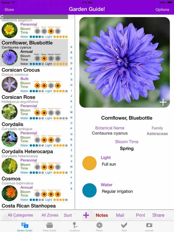 iPad Screenshot 1