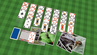 Golf Solitaire Crittersのおすすめ画像2