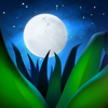 no app image