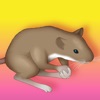 Des Souris