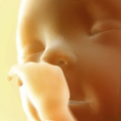 Baby Heart Doppler Obstetric Mobile App Icon