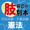 辰已の肢別本（平成28年版）憲法 - 辰已法律研究所