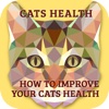 Cat's Health Problems + Info medical health problems 