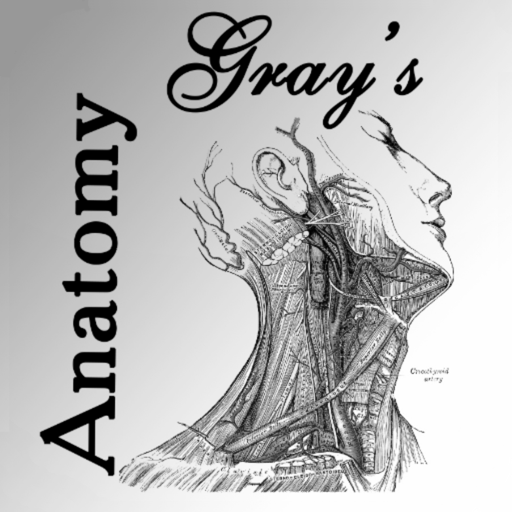 Gray's Anatomy Mac OS X