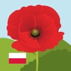 Learn Polish With Amy for Kids - Pro edition Education