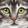 Gluten Free Games - Ultimate Cat Simulator  artwork