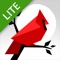 (무료버전)Cardinal Land Lite: Jigsaw & Tangram Puzzle Blend 앱 아이콘