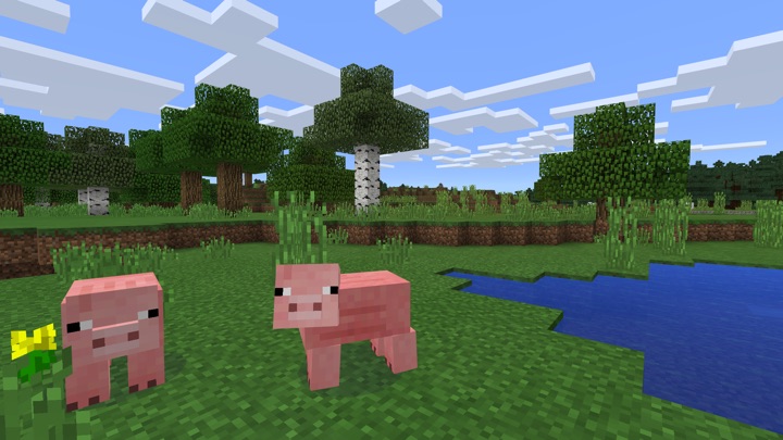 Minecraft   -  4