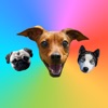 Chien Autocollants pour iMessage : Dogs