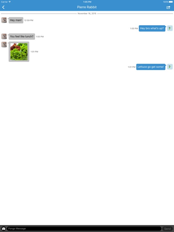 iPad Screenshot 3