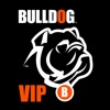 Bulldog VIP scan stores 