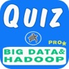 Big Data und Hadoop Fragen Pro