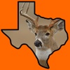 Texas Hunting Companion texas hunting guide jobs 