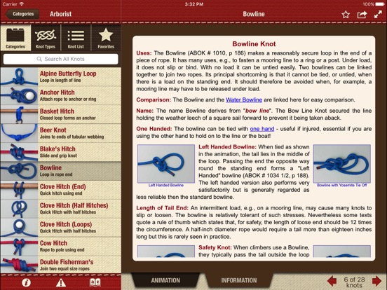 iPad Screenshot 4