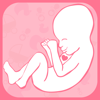 Jovana Djordjevic - My Baby Heart Rate Record.er – Heartbeat listen.er artwork