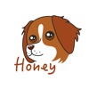 Honey the Brittany Spaniel brittany map 