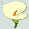 Fleurs de printemps